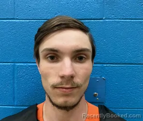 Mugshot of CRAIG AUSTIN LEDFORD