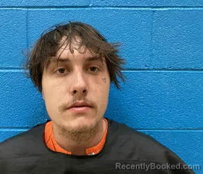 Mugshot of CAMERON HORNE booked in McDowell County, North Carolina on March 25, 2026