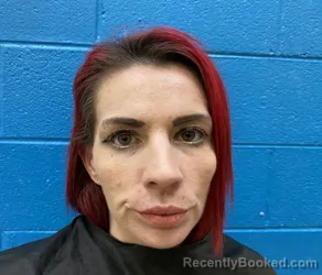 Mugshot of SERINA SUE SOMERSET booked in McDowell County, North Carolina on April 2, 2026