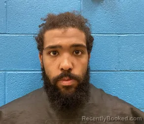 Mugshot of CAMERON RYAN SWEPSON booked in McDowell County, North Carolina on April 29, 2026