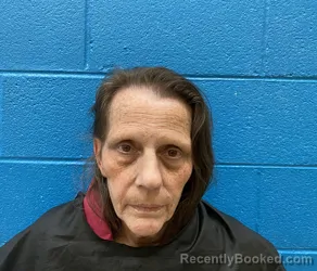 Mugshot of DAWN PLANT LAMB booked in McDowell County, North Carolina on June 8, 2026