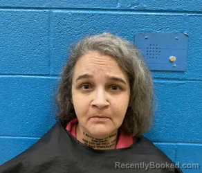 Mugshot of FELICIA LYNN CLARK booked in McDowell County, North Carolina on June 26, 2026