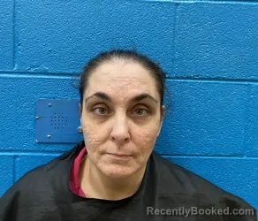 Mugshot of NATASHA NOEL ROBINETTE booked in McDowell County, North Carolina on June 26, 2026