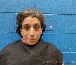 Mugshot of Elizabeth Orth booked in McDowell County, North Carolina on August 23, 2026