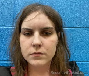 Mugshot of Karis Lael Stephenson booked in McDowell County, North Carolina on August 26, 2026