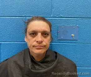 Mugshot of Tiffany May Lansdell booked in McDowell County, North Carolina on September 1, 2026