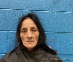 Mugshot of Leigh Ann Owle booked in McDowell County, North Carolina on September 8, 2026