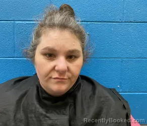 Mugshot of Sarah Ann Leamy booked in McDowell County, North Carolina on October 9, 2026