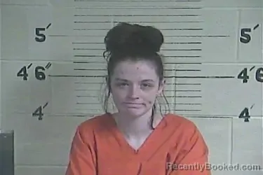 Booking photo from Lee County, Kentucky