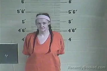 Booking photo from Lee County, Kentucky