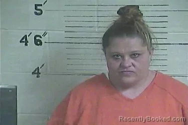 Mugshot of Tina L Turner