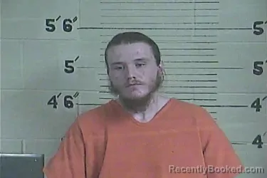Mugshot of Ryan Mcdowell