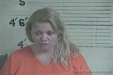 Mugshot of Anna A. Smith