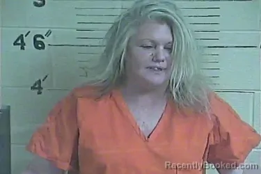 Mugshot of Chasity B Tays