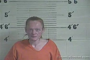 Mugshot of Jessica N Marshall booked in Lee County, Kentucky on March 27, 2026