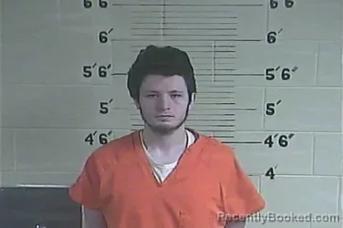 Mugshot of Mycal A McDonald booked in Lee County, Kentucky on April 3, 2026