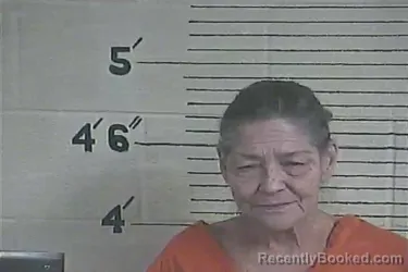 Mugshot of Diana L Porter booked in Lee County, Kentucky on May 16, 2026