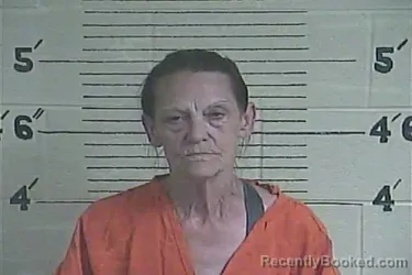 Mugshot of Clara L Pelfrey booked in Lee County, Kentucky on June 25, 2026