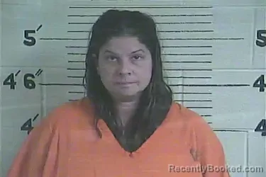 Mugshot of Karen Terry booked in Lee County, Kentucky on June 30, 2026