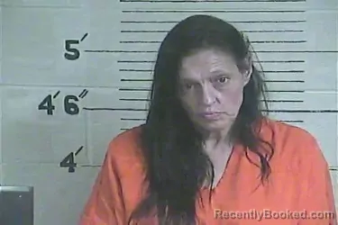 Mugshot of Terri Jo Wilson booked in Lee County, Kentucky on July 8, 2026