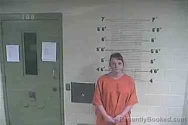 Mugshot of Ashley E Abney