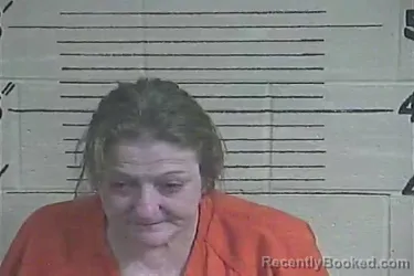 Mugshot of Virginia D Williams booked in Lee County, Kentucky on August 22, 2026