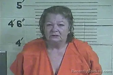 Mugshot of Delores E Higgins booked in Lee County, Kentucky on September 2, 2026