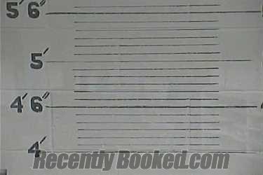 Booking photo from Lee County, Kentucky