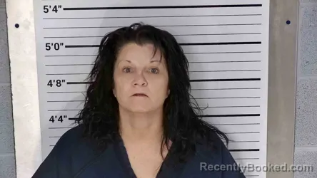 Mugshot of LILY SANDLIN booked in Leslie County, Kentucky on April 14, 2026
