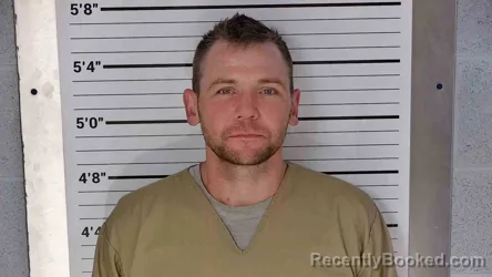 Mugshot of DARREN MITCHELL