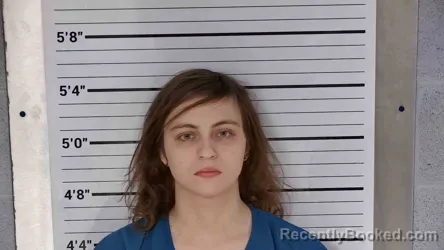 Mugshot of JORDAN NOLL booked in Leslie County, Kentucky on April 3, 2026