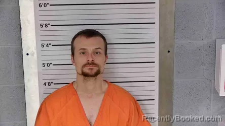 Mugshot of TONY LUDWICK