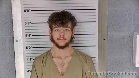 Mugshot of DAVID CONRAD