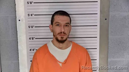 Mugshot of ROBERT WARD