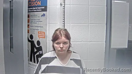 Mugshot of ALYSSA AMBURGEY