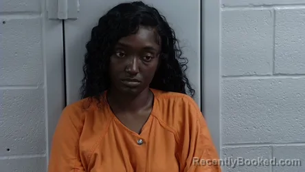 Mugshot of SHAMARI BROWN booked in Logan County, Kentucky on June 14, 2026