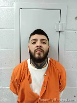 Mugshot of ALEJANDRO NIETO