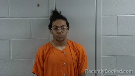 Mugshot of CAMRON HINES