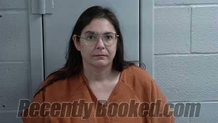 Booking photo from Logan County, Kentucky