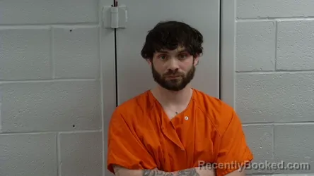 Mugshot of TAYLOR HANKS