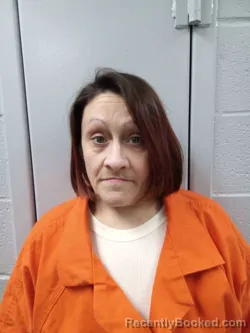Mugshot of NICOLE HILL