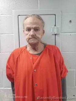 Mugshot of ALLAN LEWIS