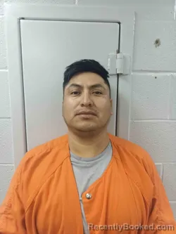 Mugshot of JULIO GONZALEZ