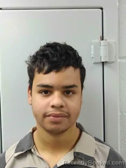 Mugshot of NATHAN LINDSAY