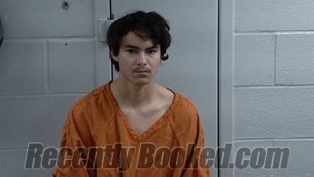 Booking photo from Logan County, Kentucky