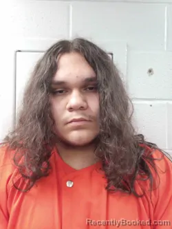 Booking photo from Logan County, Kentucky