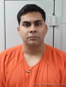 Mugshot of ALBERTO BOLANOS