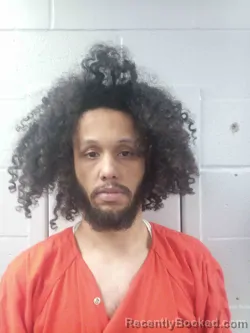 Mugshot of DE'AHVEON SANDERS