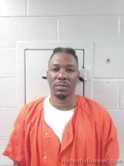 Mugshot of JOSHUA BRIDGES