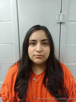 Mugshot of DANNA VILLANUEVA